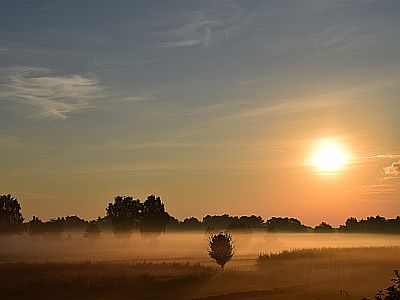 Der Morgen beginnt. Immer gleich?