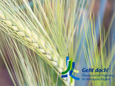 Platzhalterbild Platzhalterbild