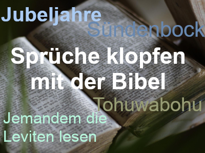 Platzhalterbild Platzhalterbild