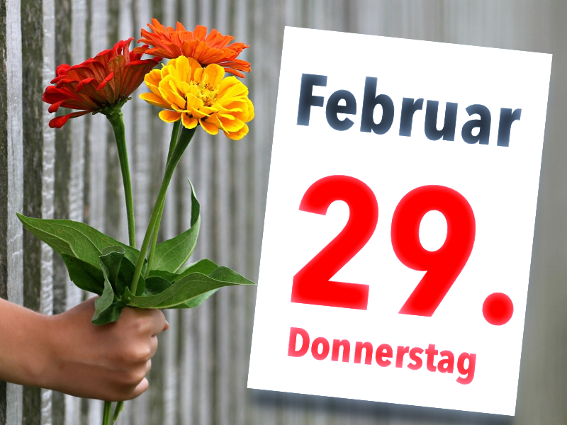 Platzhalterbild Platzhalterbild