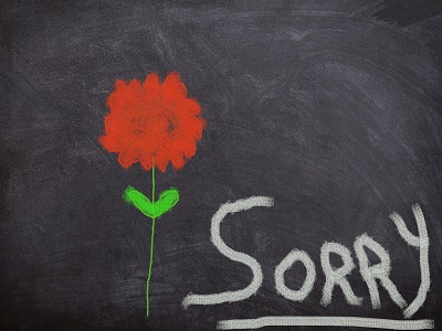 Sorry-Schriftzug und Blume