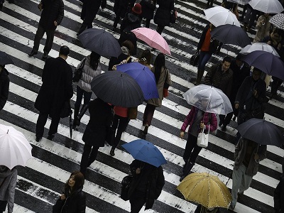 pixabay Menschen gehen im Regen über den Zebrastreifen
