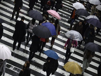 Menschen gehen im Regen über den Zebrastreifen