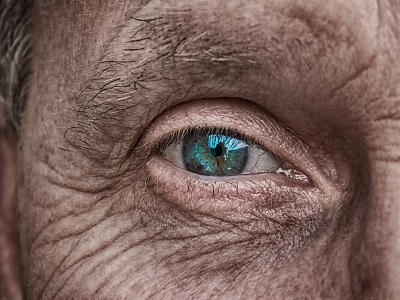 pixabay Nahaufnahme Auge