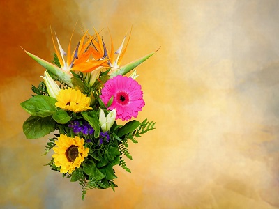 pixabay Geburtstagsblumen