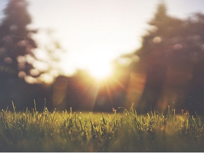 pixabay Frühlingsstimmung