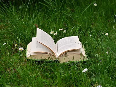 pixabay Buch auf Wiese